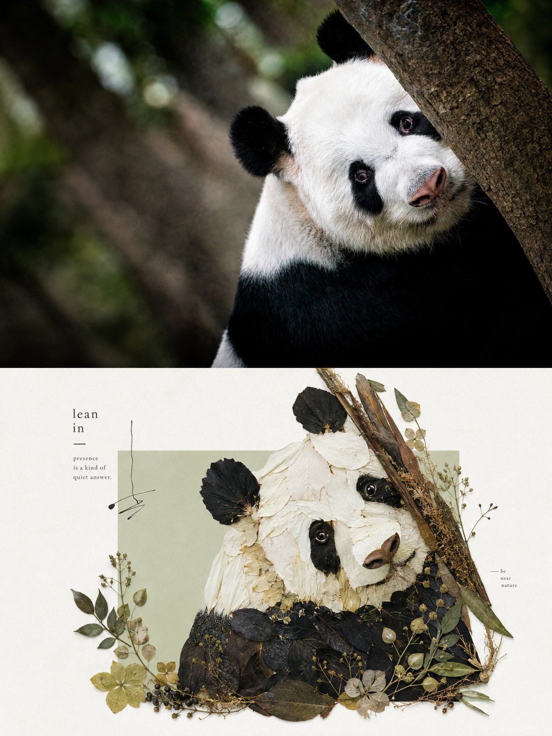 Natural-Material Editorial Illustration artwork example 2